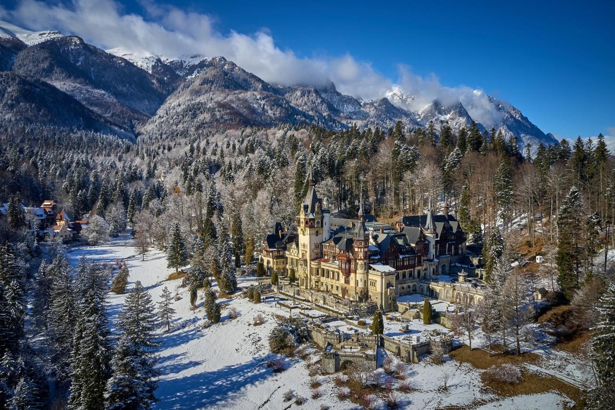 The Cozy Deer Apartment Sinaia Luaran gambar